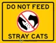 Stop feeding the cat