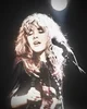 Stevie Nicks