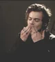 harry styles