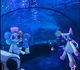 DW AQUARIUM AU