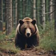 Real life bear