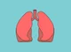 The Lungs