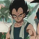 Vegeta 