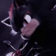 Shadow the hedgehog 