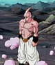 Super buu 