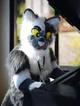 Coopertom Fursuit 