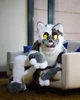 Coopertom Fursuit 