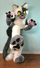 Coopertom Fursuit 