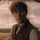 Newton Scamander 