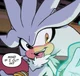 Silver The Hedgehog 