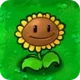 Sunflower - PVZ