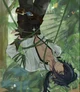 Kaeya - Tomb raider