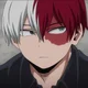 Shoto Todoroki 