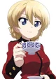 Darjeeling Step-Sis