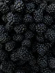 Blackberries