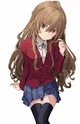 Aisaka Taiga