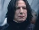 Adult Snape