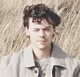 harry styles 