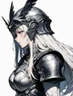 The Valkyrie
