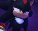 Shadow the Hedgehog 
