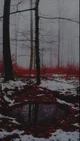 Forest in blood