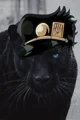 Panter Jotaro Kujo