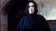 Severus Snape 