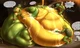 Tmnt immobile Raph