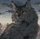Graystripe - WoCa