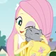 MLP - FLUTTERSHY 