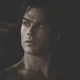 damon salvatore