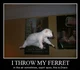 Ferret Malfoy
