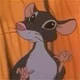 Rat Jasmine
