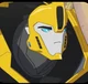 -bumblebee-rid