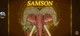 Samson