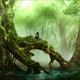 Korra