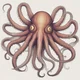 Angry giant octopus