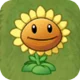 Sunflower pvz 2