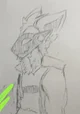 Ray the Protogen