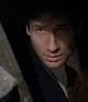 Fox mulder