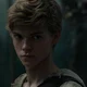 Newt