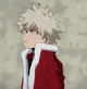 Katsuki Bakugou 