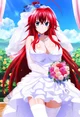 Rias Gremory Novia 0