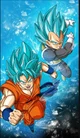 Goku and Vegeta