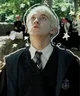 Draco m