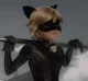Cat noir 