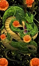 Shen Long 