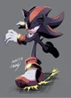 Shadow T Hedgehog 