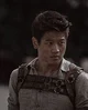 Minho - Maze Runner