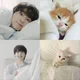 Hybrid Cat Jungwon 